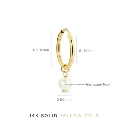 Delia Crest Ohrringe | Gold